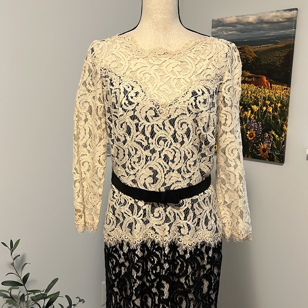 Tadashi Shoji Chantilly Lace Gown - Picture 2 of 15